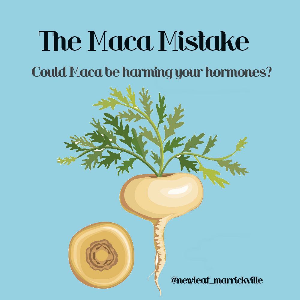 Maca does it help fertility? Naturopathic view on Maca root for hormones