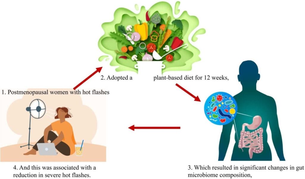 dietary advice for hot flushes - plant based diets help perimenopause