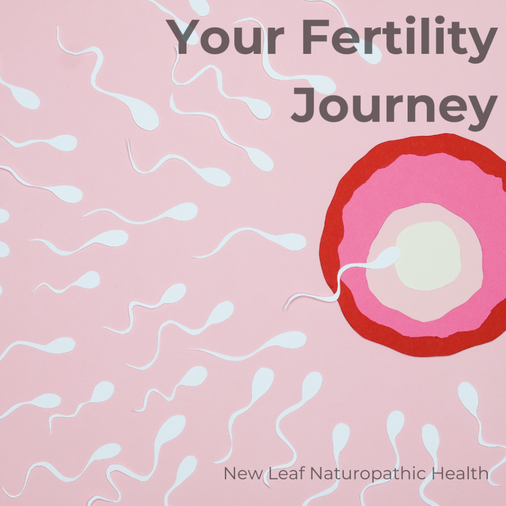 fertility naturopath near me. Naturopathic Fertility treatments. IVF Support