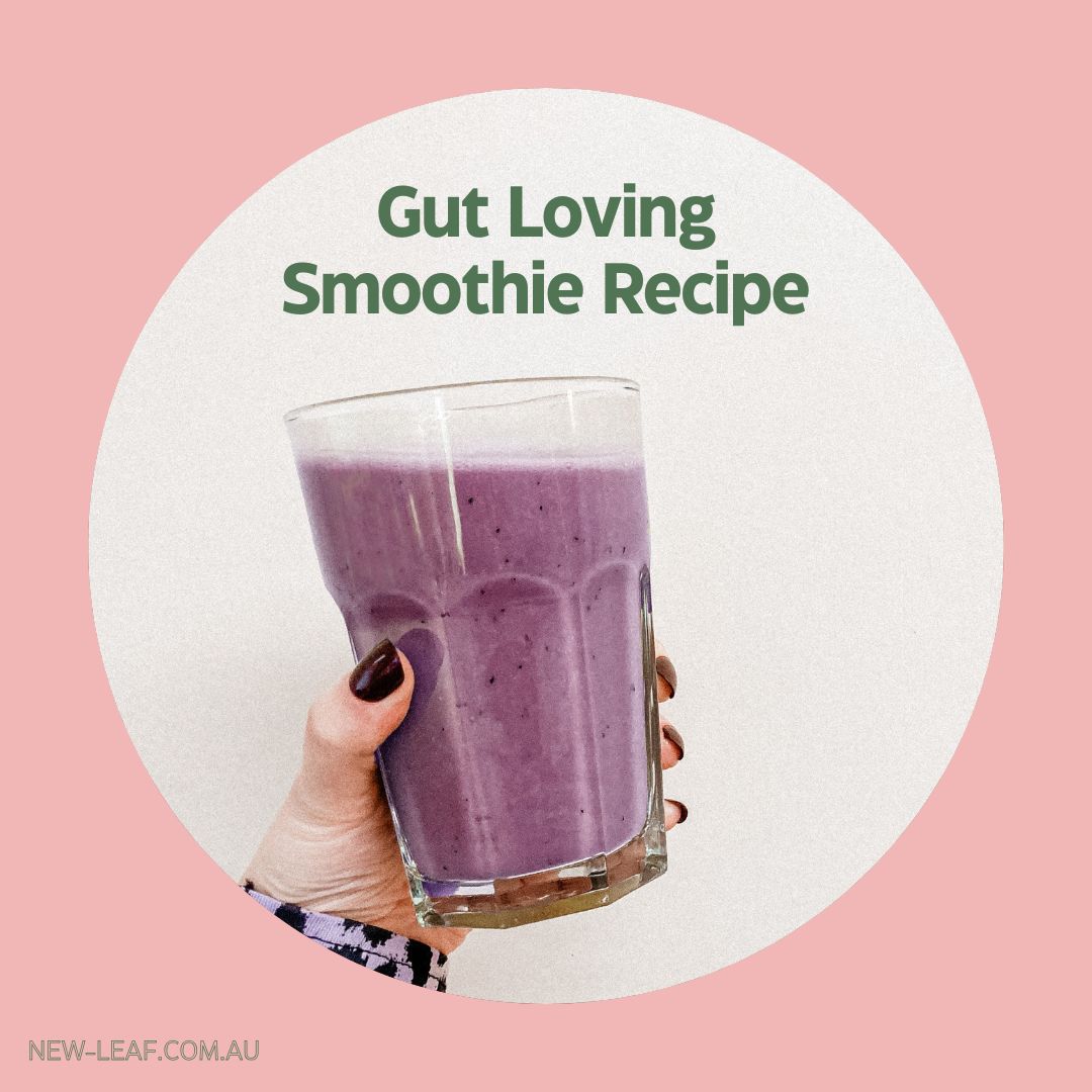 naturopathic recipe for gut loving smoothie to help with constipation