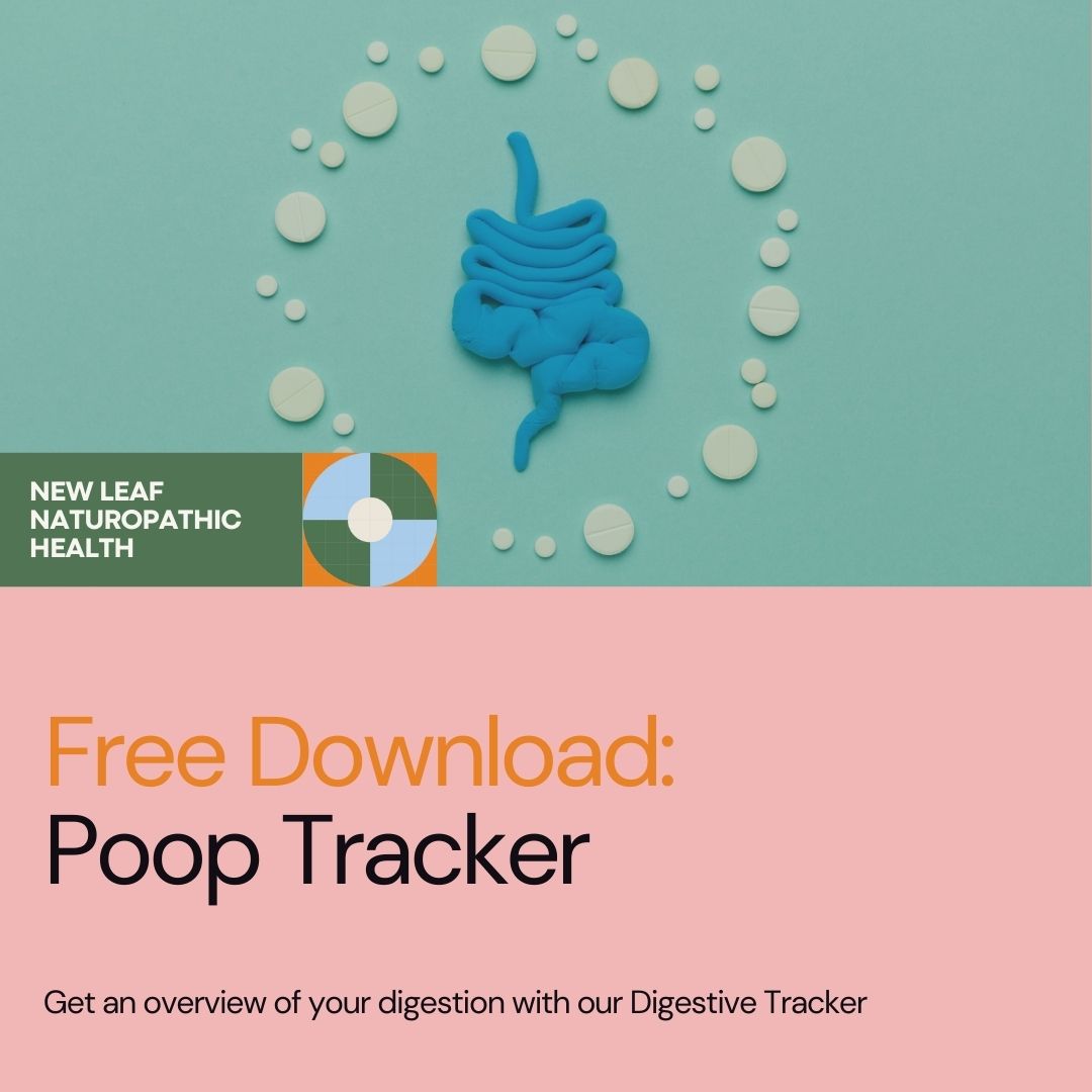 Bristol stool chart - free PDF download poop tracker.