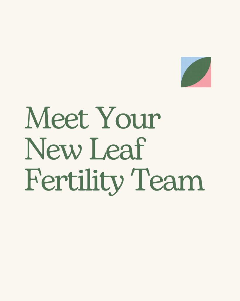 New Leaf Naturopath Fertility Support Telehealth Hannah Boyd