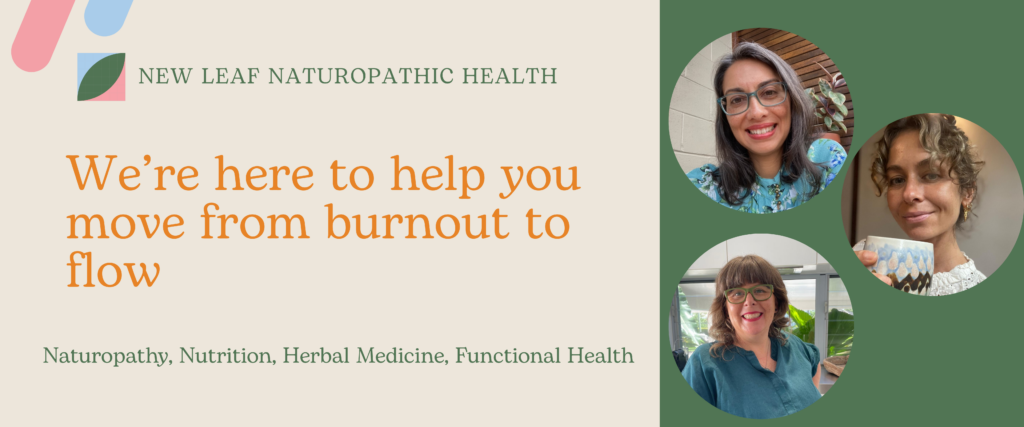 naturopathic support for burnout and focus