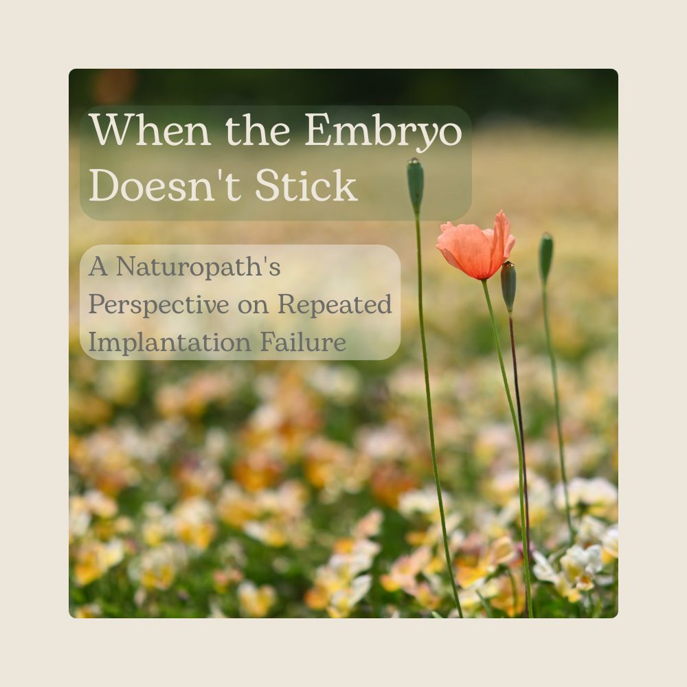 Online naturopath IVF support telehealth consultation Australia. naturopath repeated implantation failure
